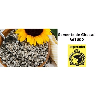 Semente Girassol Graudo Passaros Papagaios - 500 gramas granel / 1 kilo (Granel)