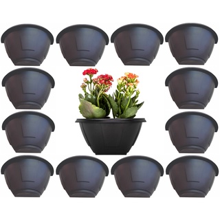 12 Vasos de Parede Meia Lua Mini Para Jardim Vertical - jardinagem - área externa - interna - jardim - suculentas - flor (1)