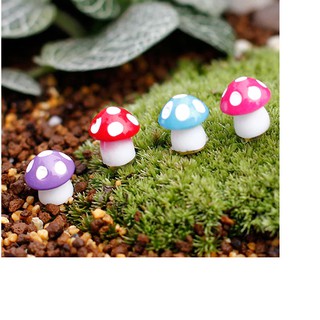 5 mini cogumelos coloridos - Miniaturas para terrários e jardins de fadas 1,5 cm x 1,5 cm aprox
