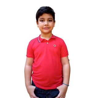 Camisa Gola Polo Infantil Menino Varias Cores Promoção 1 ao 14 Anos (5)