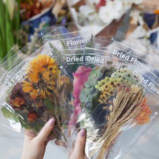 6 pcs/set Flower Shop Series Decorative Stickers DIY Scrapbooking Label