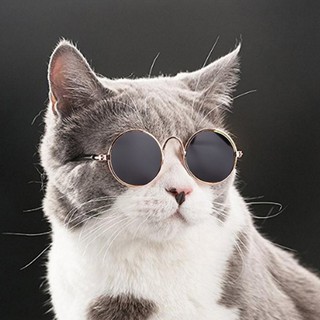 Óculos De Sol De Sol Com Proteção Fotos Acessórios Para Pets / Cães / Gatos (4)