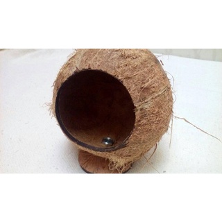 Toca de Coco para Hamsters e pequenos Roedores – Toca - Casinha Natural