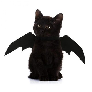 New Pet Cat Dog Black Bat Asa Adere Os De Halloween Para Animais De Estima O Cosplay Prop Pet Halloween Bat Fancy Dress Asas Gato Adereços Acessórios Do Cão Headwear