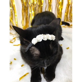 Tiara de Flores Brancas Pet (Para Gatos e Cães) Réveillon/Ano Novo. (3)