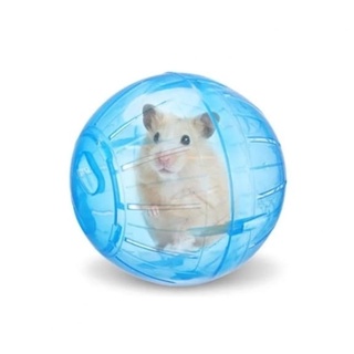 Bola Brinquedo Roedores Globo Acrílico Hamster 11,5 Cm