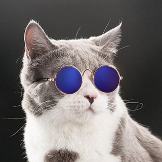 Óculos De Sol De Sol Com Proteção Fotos Acessórios Para Pets / Cães / Gatos (6)