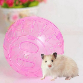 Mini Hamster Troting Ball Brinquedo Corrida Pet Chinchila Guinea Pig (1)