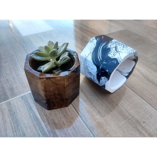 Vasinhos decorativos de cimento e gesso para suculentas