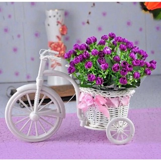Bicicleta Triciclo Cachepot Vaso para Flores