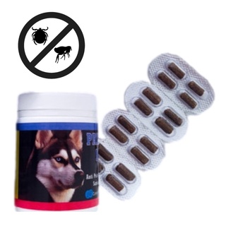 Anti pulgas, carrapatos e sarnas. PREVENTS DOG. 16 comprimidos mastigáveis
