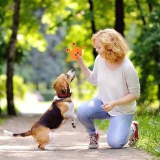 Pet Brinquedos De Pelúcia Do Cão Listrado Brinquedos mastigar para cachorro para cães pequenos e grandes (3)