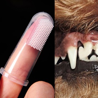 Soft Finger Brush Pet Toothbrush Plush Dog Plus Bad Breath Dental Care Tartar Dog Cat Cleaning Pet Supplies Cat Dog Toothbrush (1)