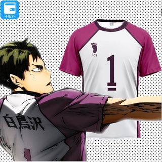 BR Haikyuu Camiseta Esportiva De Manga Curta/Uniforme Wakatoshi/Escola/Esporte