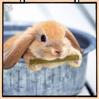 Hay Mastigar Vara Pet Molar Brinquedo Pequenos Animais Deleites De Dentes Acessórios Tratores Para Coelho Chinchila Guinea Porquinhos Hamster (3)
