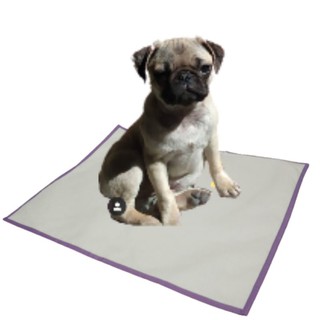 Kit 3 Tapetes Higiênicos Reutilizáveis e Laváveis para Cães Tamanho G (70cm x 90cm)