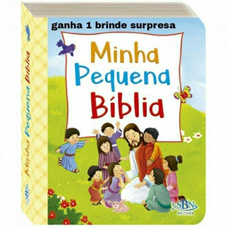 bíblia infantil bíblia para crianças bíblia para meninos bíblia para meninas:ganha um brinde surpresa