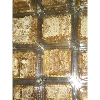 Mel de abelha Florada Silvestre 1kg direto do produtor 100% puro (5)