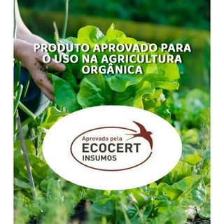 Azufre Enxofre Pó Solúvel Pacote de 1 KG - Aplicação em Hortaliças / Flores / Frutas / Citrus Orgânico Ecocert (3)
