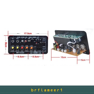 Brflameer1 Placa De Alto-Falante Com Bluetooth 4.2 Som 30-120w Módulo Amplificador Mono Karaoke Casa Diy (3)