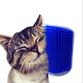 Escova Massageadora para gatos Coçadinha - Escova de automassagem em gatos com erva Cat Nip Chalesco