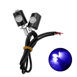 Eagle Eye LED Turn Signal Lamp Luzes Decorativas Luz Da Placa De Licença Motocicleta Universal Sinais De Volta Lanterna Traseira 1 Par (5)