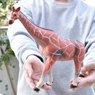 Cigarra Sabido Modelo Simulação Inseto Animal De Brinquedo Para Crianças Cognição