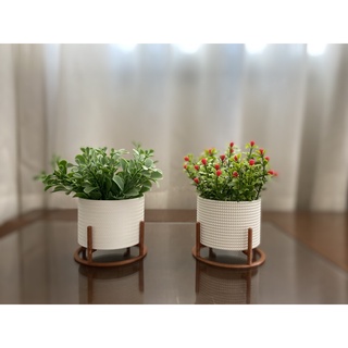 Kit 2 Vasos Cachepô Mini Decorativo Com Suporte para Mini Cactos ou Suculentas ou Plantas Artificiais