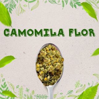 Camomila Flor