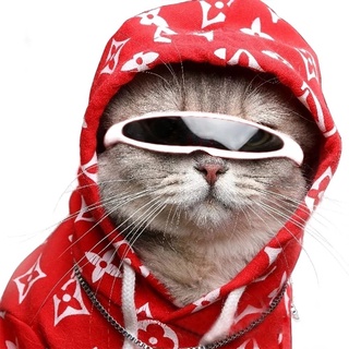 Óculos reflexivo para gatos, cachorros pequenos, acessórios para fotos de animais de estimação (1)