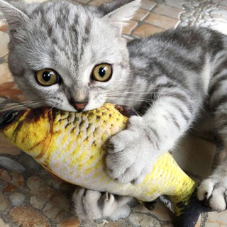 Brinquedo Peixe de Pelúcia para Gato com Catnip | Ronrom Pet (8)
