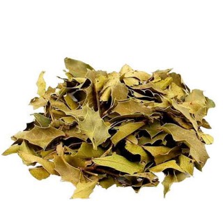 Espinheira Santa Maythenus (Ervas seca para chá /produto a granel)