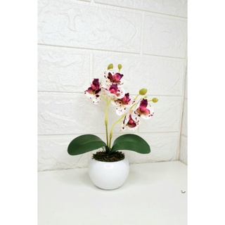 Arranjo de MINI Orquídea Artificial Com Vaso e Plantinha \ Para Decoração de Ambientes\Casa Escritório (1)