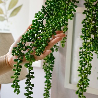 Planta artificial pendente suculenta dedo de moça 40 cm para compor vasos, arranjos e decorar a sua casa / casamento/ noivado/ noiva/ pré wedding
