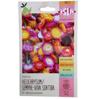 300 Sementes Da Flor Helichrysum/ Sempre-viva Sortida - Isla