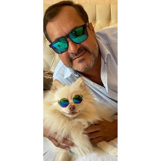 Óculos Para Pet Gato E Cachorro Diversas Cores de Sol e Leitura (5)