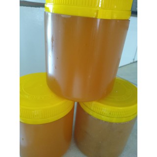 1 kg de Mel de abelha 100% Puro Orgânico 1Kg mel nativo. (3)