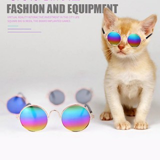 oculos de sol para gatos e pequenos cachorros óculos pet