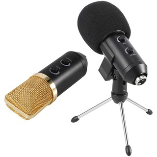 Microfone Condensador Profissional Usb Estúdio Gravação Youtubers Bm100Fx Suporte Articulado e Tripé
