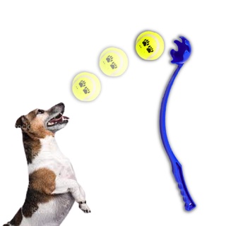 Lançador De Bolas Interativa Pet Manual + 1 Bolinha Grátis