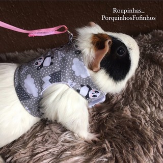 roupa peitoral pet porquinho da Índia e mini coelho