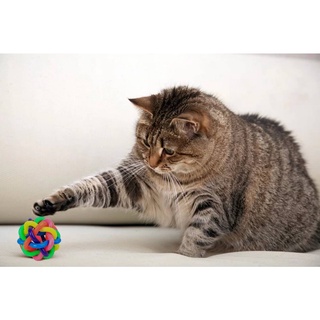 Brinquedo Bola Trançada De Borracha Colorida Com Sino Para Cães e Gatos (3)