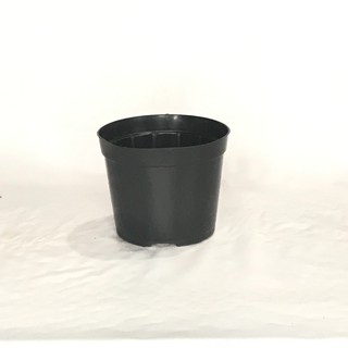 50 Vasos Plástico Pote 9 Liso Preto Suculentas Mini Cactos