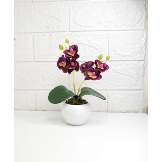 Arranjo de MINI Orquídea Artificial Com Vaso e Plantinha \ Para Decoração de Ambientes\Casa Escritório (2)