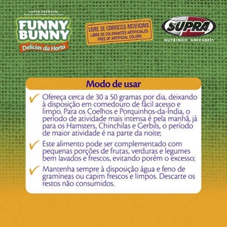 Funny Bunny - Delicias da Horta (4)