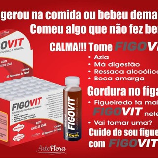 FigoVit Suplemento Vitamínico e Mineral - 10ml