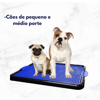 Combo 3 Sanitário Canino Pipi Dog Banheiro Cães Cachorro (6)