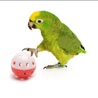Brinquedo Papagaio De Estimação Bola Sino Oco Pássaro Para Gaiola De Brinquedo Calopsita Ring Neck