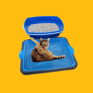 Tapete Coletor de Areia Caixa de Areia Para Gato Limpa Patas Pet (1)