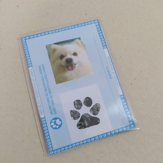 Rg Pet Identidade Pet Cachorro Gato Estimação Impresso e plastificado (3)